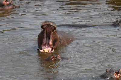 DSC_3643 (Large).JPG